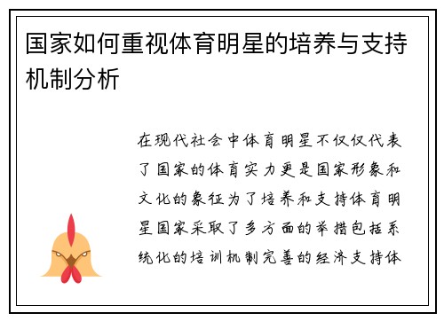 国家如何重视体育明星的培养与支持机制分析